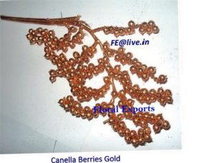 CANELLA BERRIES GLITTER