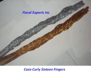 COCO CURLY SIXTEEN FINGERS