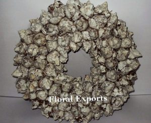 COCO FRUIT FROSTED WREATH