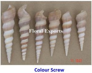 COLOUR SCREW