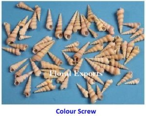 COLOUR-SCREW S