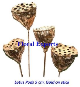 LOTUS POD SMALL GOLD