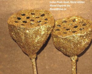 Lotus Pods Gold with Gold Glitter