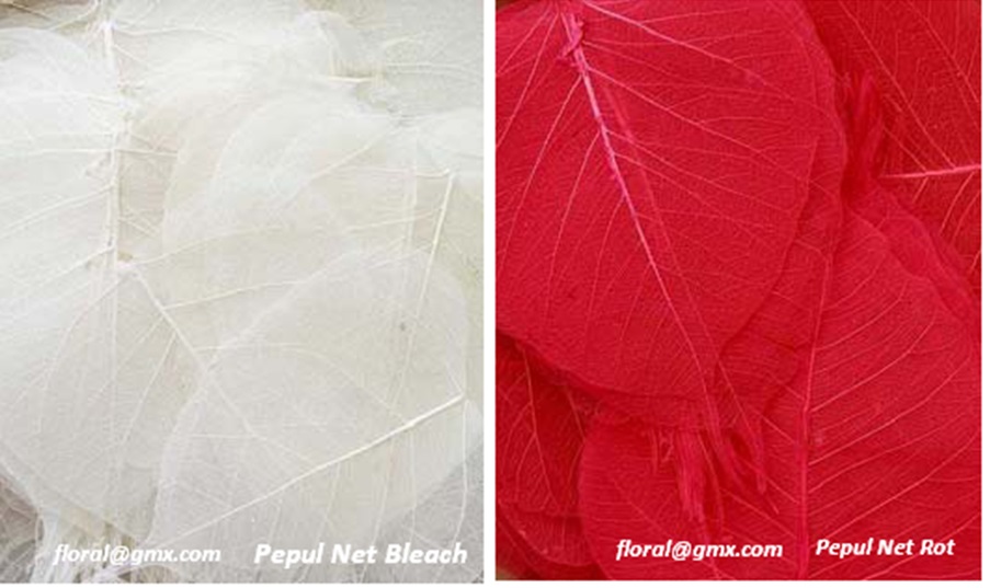 PEPUL NET BLEACH & COLOUR