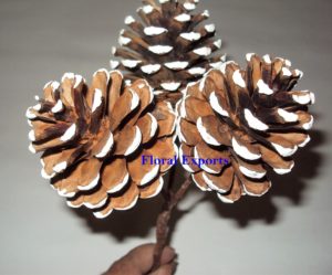 PINE CONE FROSTED 3 on WIRE STEM