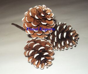 PINE CONE FROSTED 3 on WIRE STEM1