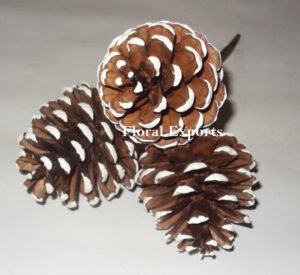 PINE CONE FROSTED 3 on WIRE STEM3