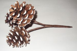 PINE CONE FROSTED 3 on WIRE STEM 4