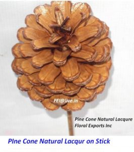 PINE CONE NATURAL LACQURE ON STICK