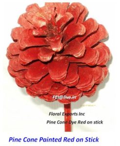 PINE CONE PAINTED RED O