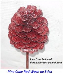 PINE CONE RED WASH ON STICK