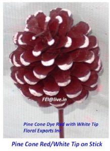 PINE CONE RED & WHITE TIP on Stick 1