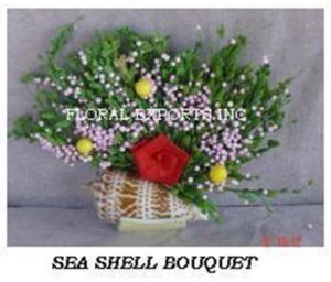 SEA SHELL BOUQUET