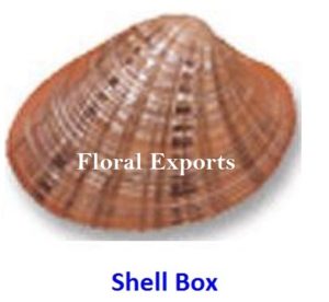 SHELL BOX