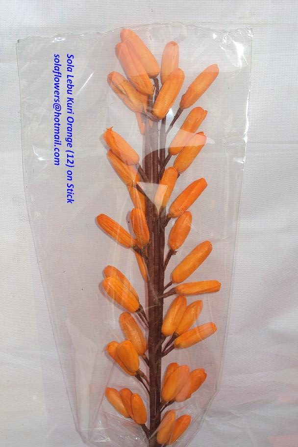 SOLA LEBU KURI (12 KURI)  ORANGE 3 STICKS IN POLY