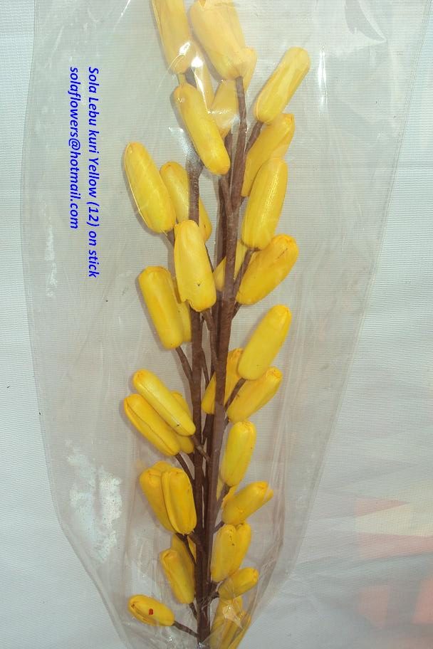 SOLA LEBU KURI (12 KURI) YELLOW  3 STICKS IN POLY