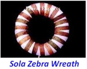 SOLA ZEBRA WREATH