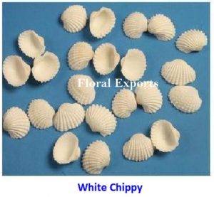 WHITE CHIPPY