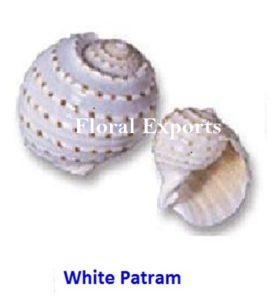 WHITE PATRAM