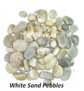 WHITE SAND PEBBLES