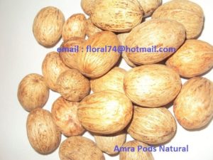 AMRA PODS NATURAL