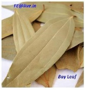 BAY LEAF NATURAL