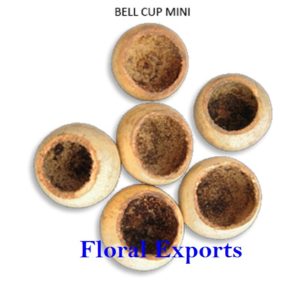 BELL CUP MINI