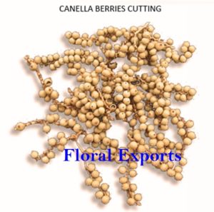 CANELLA BARRIES CUTTING