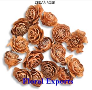 CEDAR ROSE SMALL