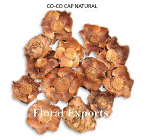 CO-CO FLOWER (CAP) NATURAL