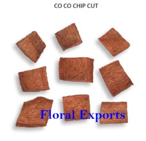 CO-CO CHIP CUT