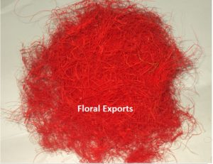 COCO FIBER LIGHT RED