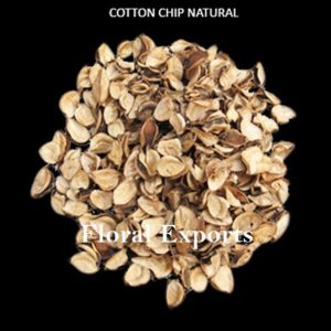 COTTON CHIP NATURAL