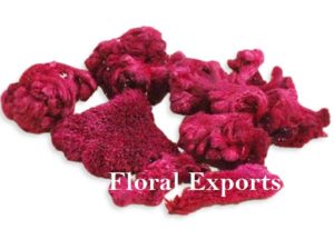 COXCOMB FLOWER COLOUR