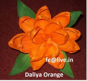 DALIYA ORANGE