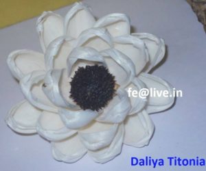 DALIYA TITONIA