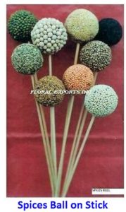 DIFFERENT SPICES BALL ON STICK