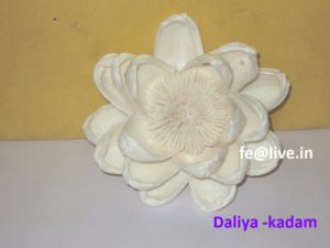 Daliya-Kadam