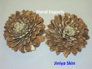 JINIYA SKIN