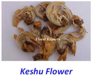 KESHU FLOWER