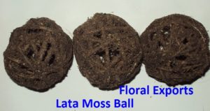 LATA MOSS BALL