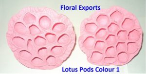 LOTUS MEDIUM COLOUR