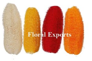 LUFFA COLOUR