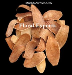 MAHOGANY SPOONS