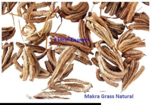 MAKRA GRASS NATURAL