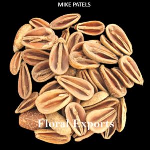 MIKE PATELS