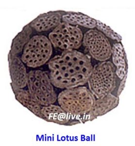 MINI LOTUS BALL