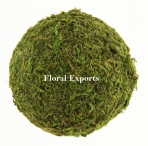 MOSS BALL