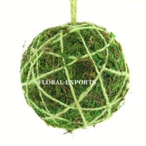 MOSS WITH ROPE BALL HANGING