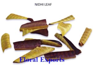 NIDHI LEAF